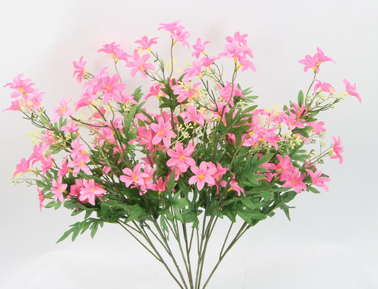 25" STARDRIFT BUSH X 7-GPB24370-PINK