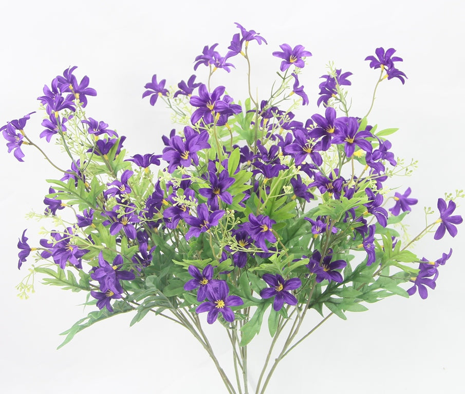 25" STARDRIFT BUSH X 7-GPB24370-PURPLE