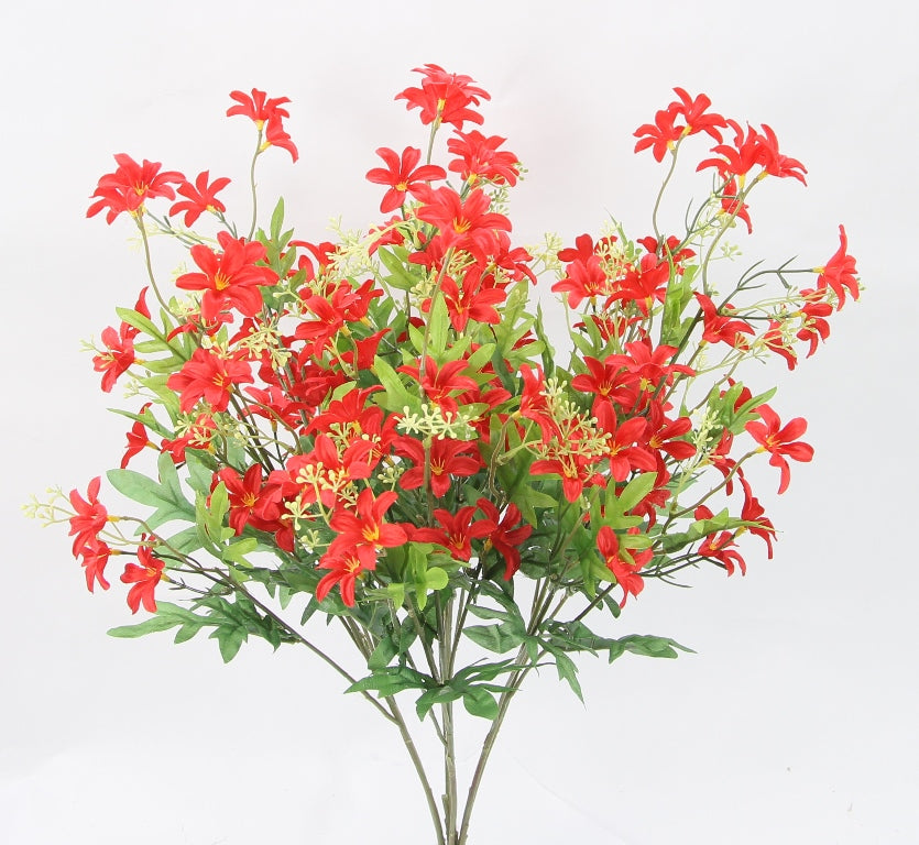 25" STARDRIFT BUSH X 7-GPB24370-RED