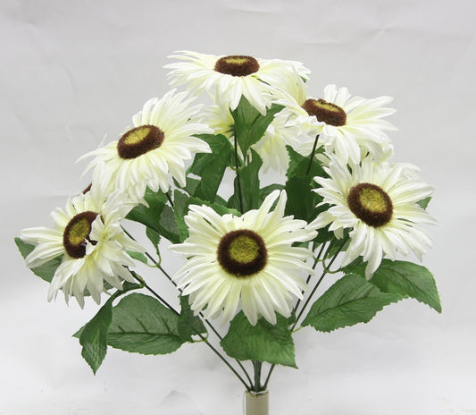 19" BLACK-EYED SUSAN-GPB24386-CREAM