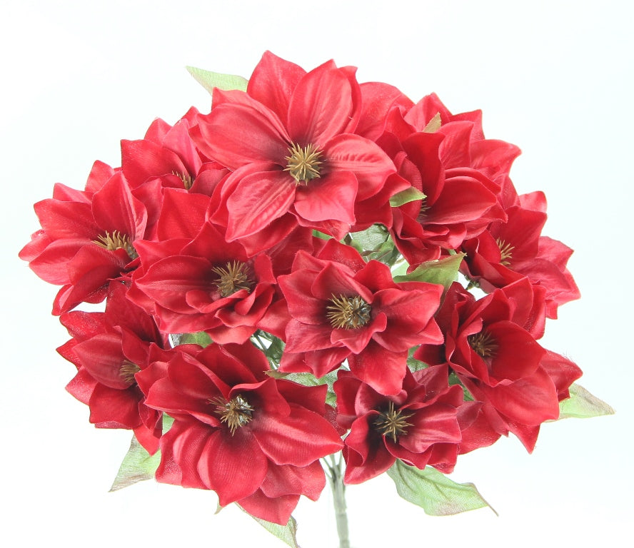 19" STAR BUSH X 12-GPB24458-BURG