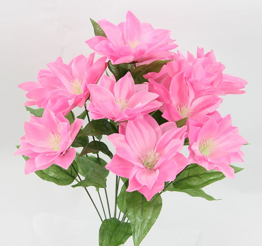 19” STAR BUSH X 12 - GPB24458-PINK