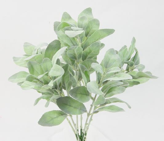 18" LAMB'S EAR BUSH X 6-GPB24852-DUSTY GN