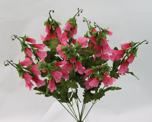 23" FOXGLOVE BUSH X 10-GPB253104-BEAUTY