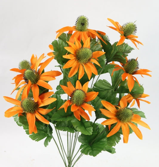 20" RUDBECKIA BUSH X 12-GPB25333-ORANGE