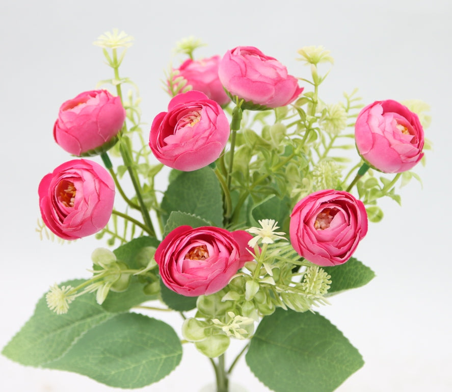 12" RANUNCULUS BUSH X 5-GPB25367-BEAUTY