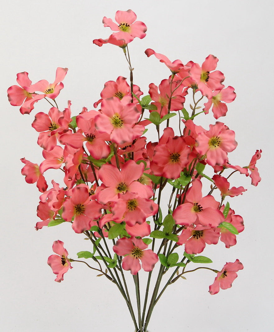 DOGWOOD BUSH X 8 - GPB7301-WATERMELON