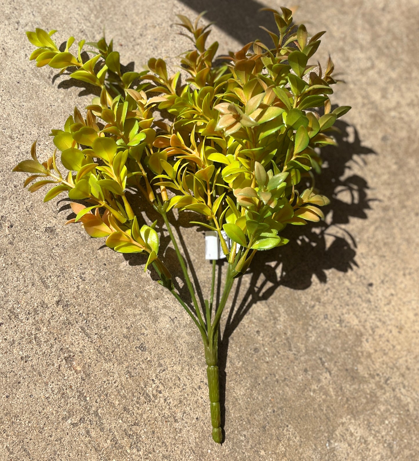 11" MINI EUCALYPTUS LEAF BUSH X 6-GR/RD-BE901GRD