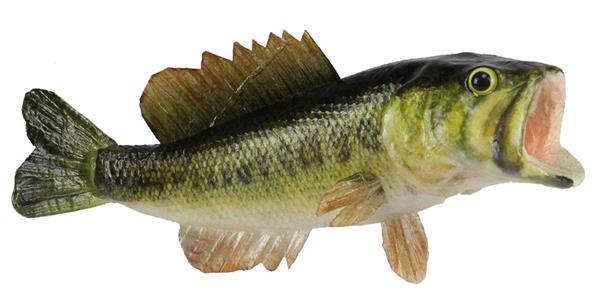 8.25"L LARGEMOUTH BASS-NATURAL-MK2085