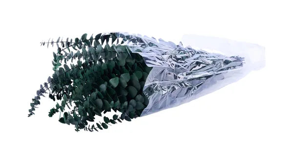 1LB PRESERVED SPIRAL EUCALYPTUS BUNDLE-DARK GREEN-TF003630
