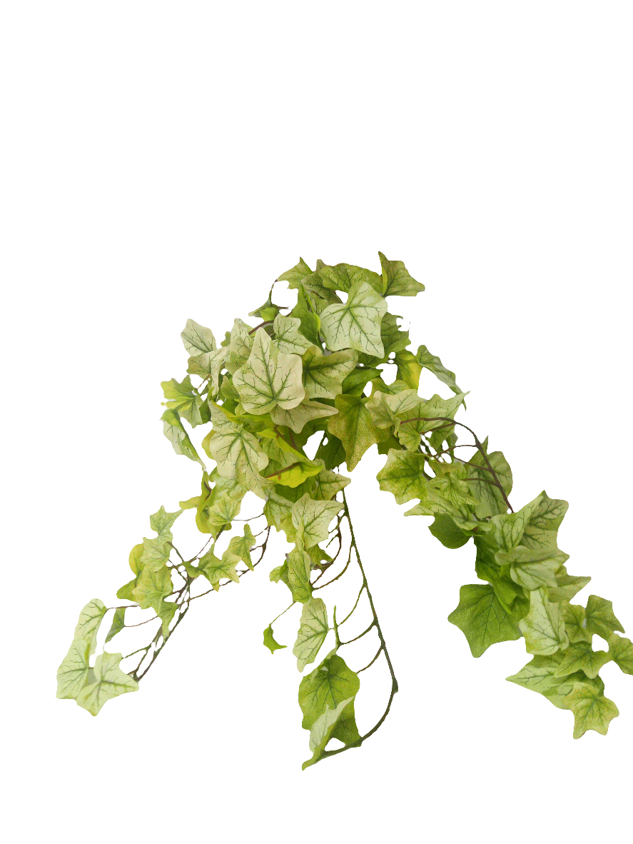 Light Green Garden Hanging Ivy x 13 with 144 leaves - GG766