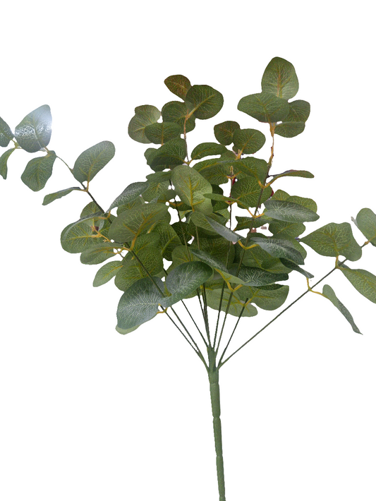 Green Eucalyptus Bush -12483