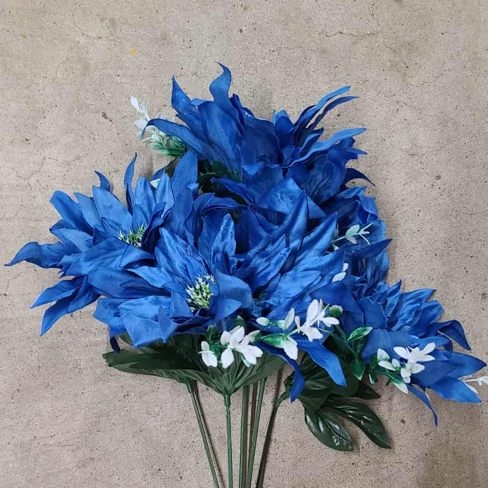 LARGE DAHLIA BUSH X 5 BLUE - 66694