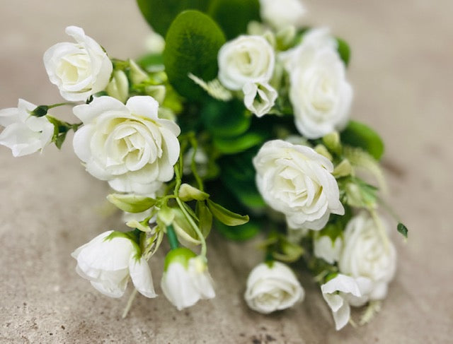ROSE BUSH X 7-CRM-37301