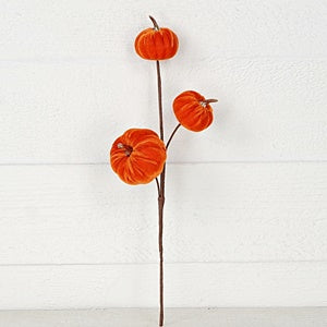15in Pick-Velvet gold stem mini pumpkins-OR- 31351