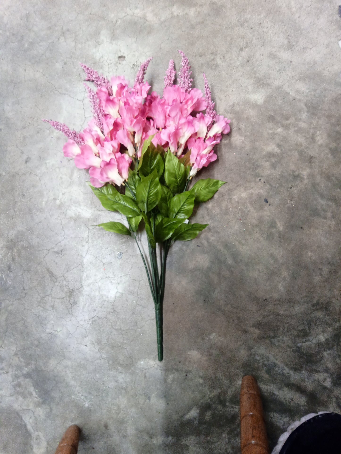 SNAP DRAGON PINK-71553