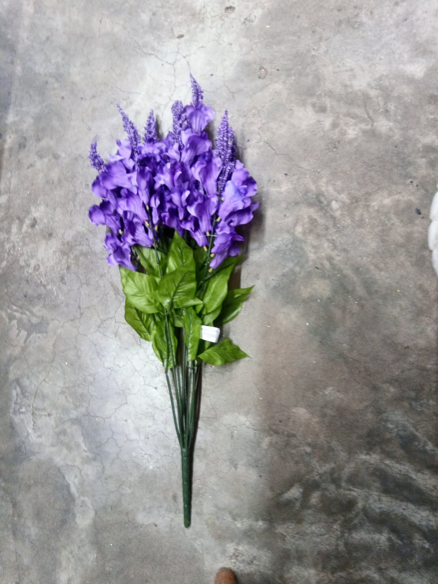 SNAP DRAGON PURPLE-71556