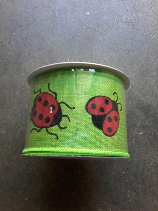 Lady bug ribbon