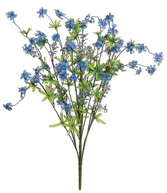 PENTA BLOSSOM & SEED BUSH, 28"; BLUE
