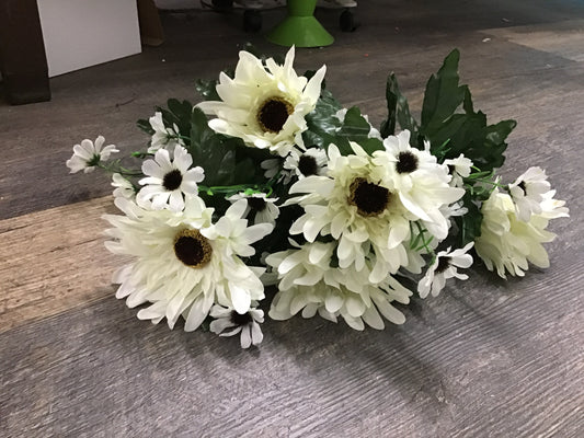 Spider daisy x12