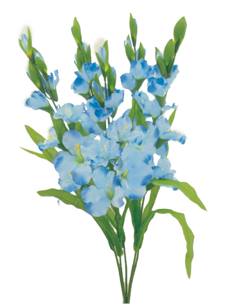 Gladiolus bush x 5, 35"
