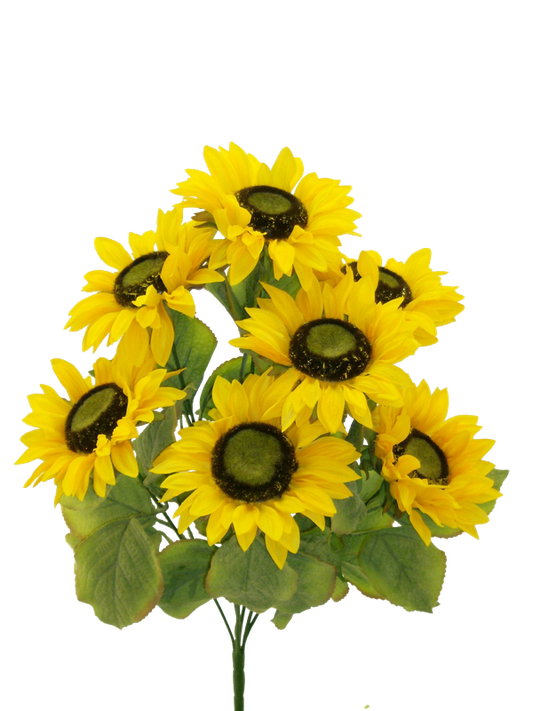 Sunflower bush x 7 - yellow