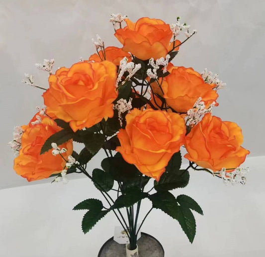 ROSE BUSH X 12 ORANGE - 11673