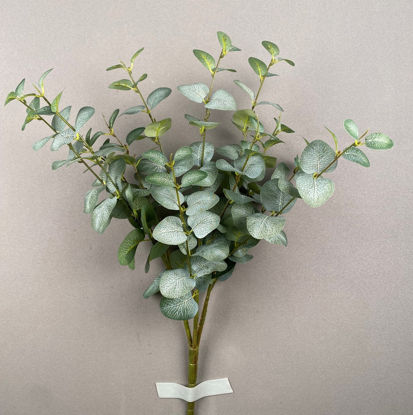 LARGE EUCALYPTUS BUSH X12 - 12473