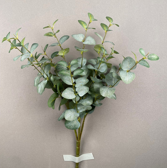 LARGE EUCALYPTUS BUSH X12 - 12473