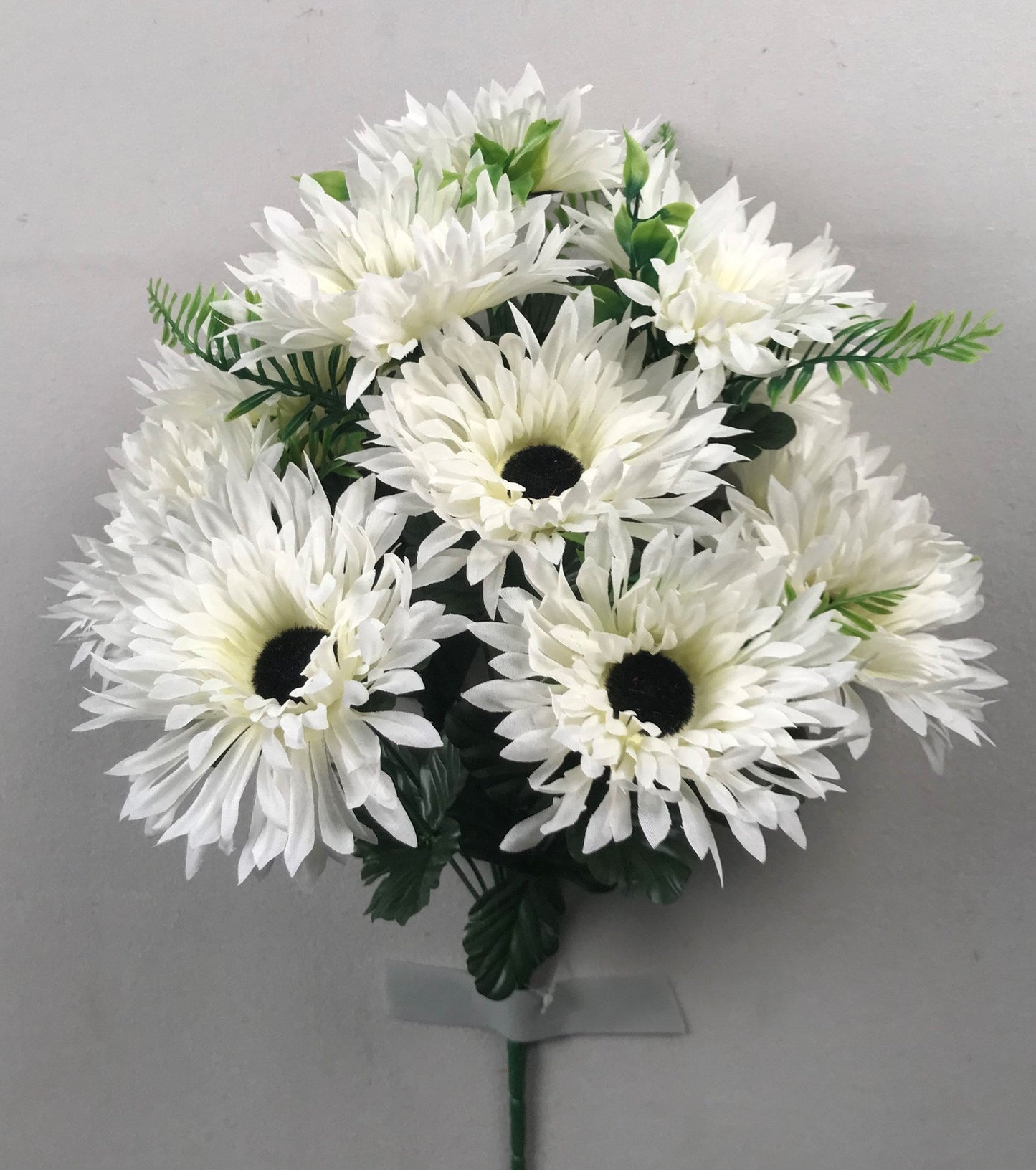 SPIDER MUM X 12 CREAM - 12846