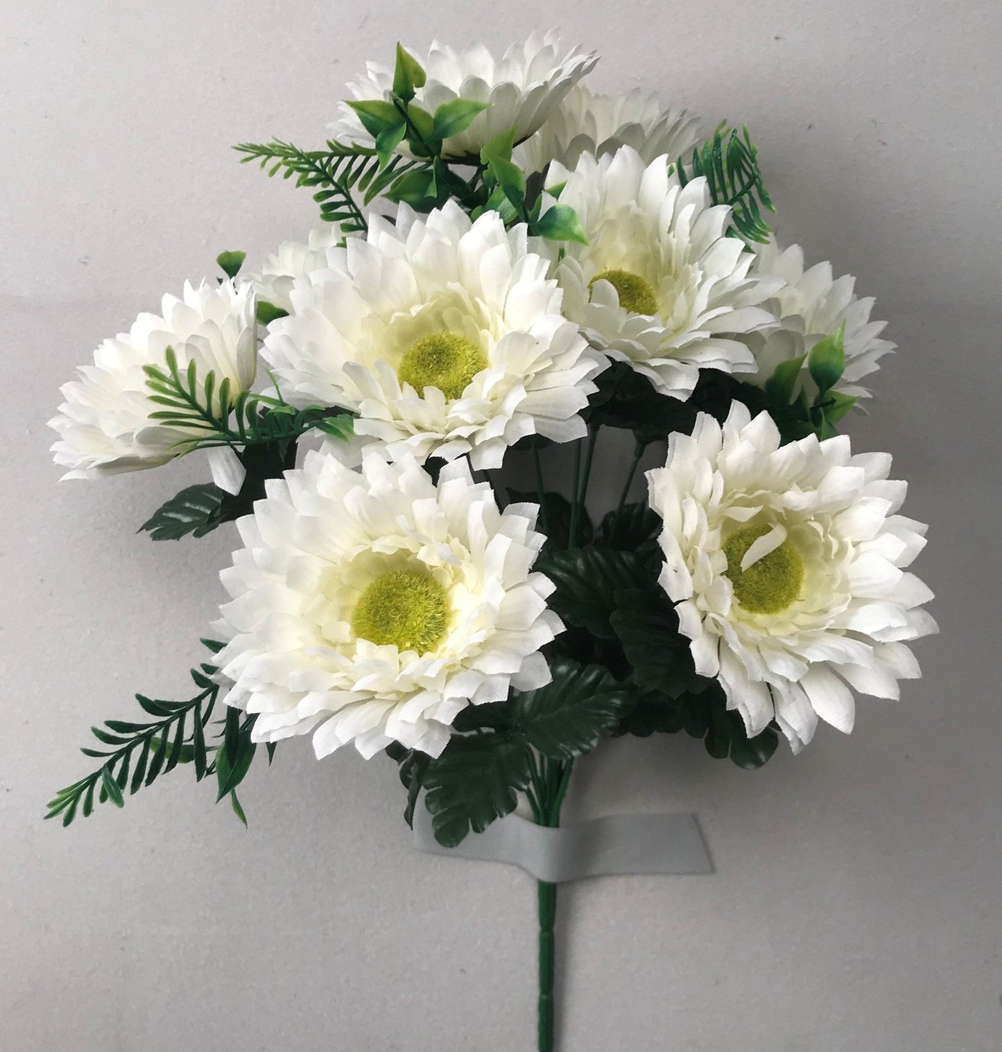 GERBER DAISY X12 CREAM - 12856