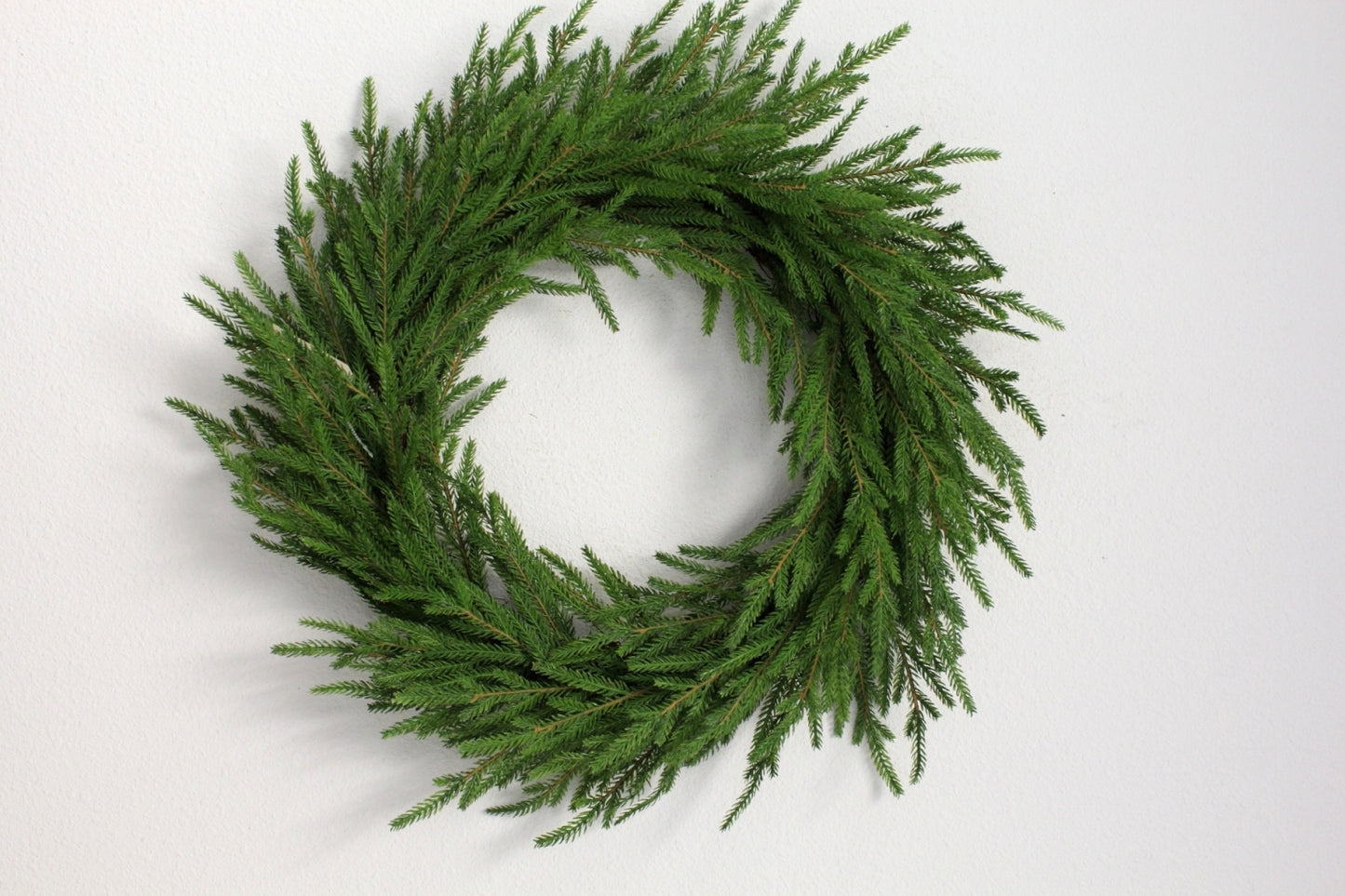 NORFOLK PINE WREATH 22'' - 134836GN