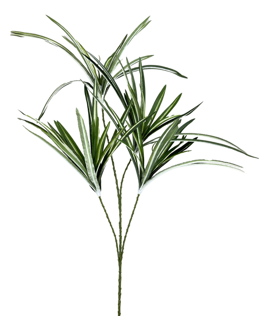 Orchid Grass Spray x 4 H32 - 13617VAGN