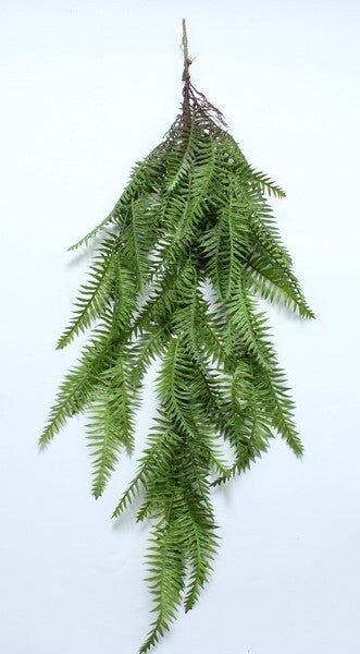 BOSTON FERN HANGING BUSH GREEN - 15771