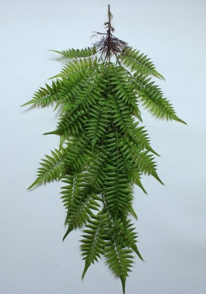 LARGE HANGING FERN BUSH GREEN - 15791