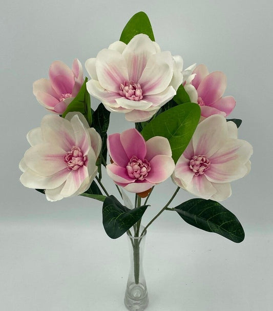 MAGNOLIA BUSH X 7 CREAM AND PINK - 18124