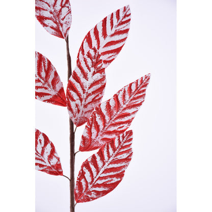 LEAF SPRAY - RED/WHITE - 187111