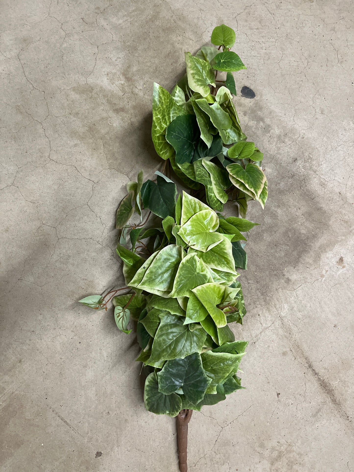 POTATO VINE HNG BUSH 36" - TT GREEN - 287443