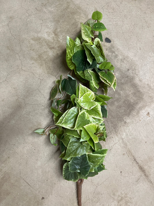 POTATO VINE HNG BUSH 36" - TT GREEN - 287443