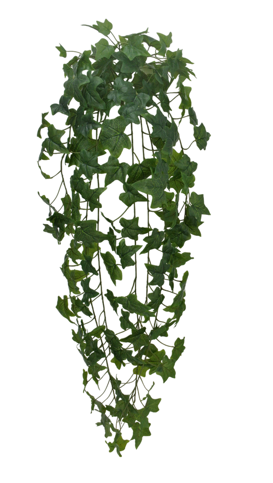 45 IN ENGLISH IVY HANGING W - 21167