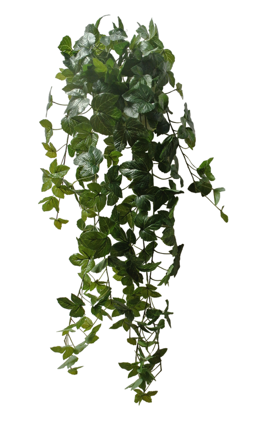 45 IN GRAPE IVY HANGING W 178 - 21171