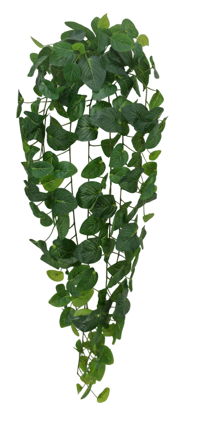 45 IN JADE POTHO HANGING W