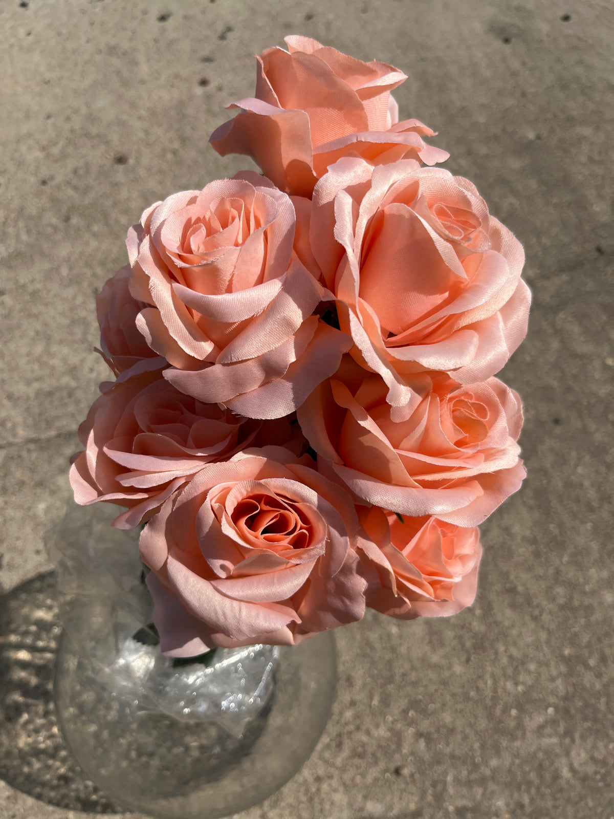 Color Fast Lillian Open Rose Bush x 12 - 30388PH