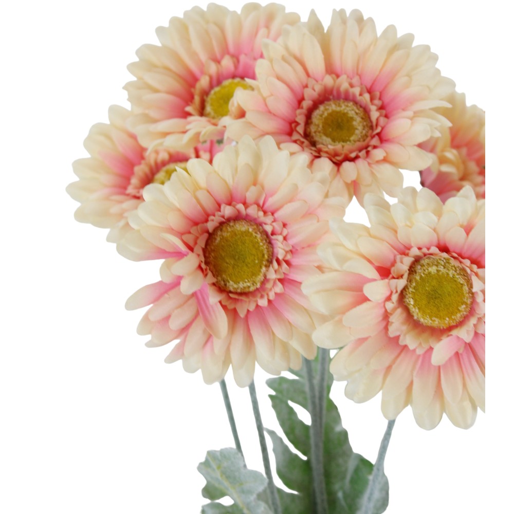 GERBERA BUSH X 8 18" - CREAM/PINK - 220130