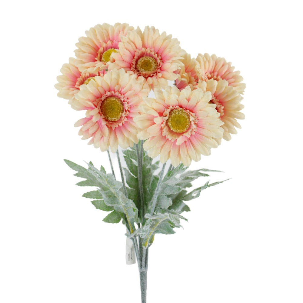 GERBERA BUSH X 8 18" - CREAM/PINK - 220130