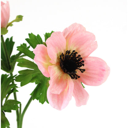 ANEMONE SPRAY 22" - PINK - 220775