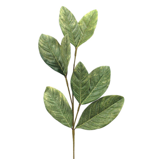 28" LT GREEN MAGNOLIA SPRAY - 224291