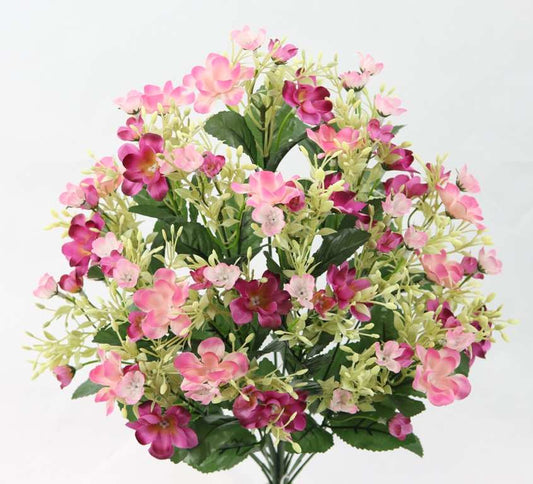 19" PHLOX BUSH X 18-GPB26352-BT/PK