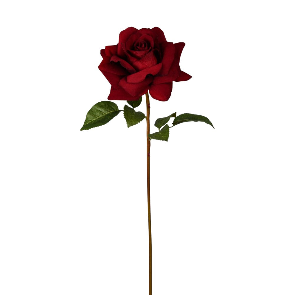 22" BURGUNDY ROSE NATURAL STEM - 253787