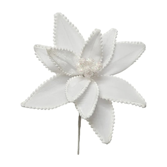 Poinsettia x1-White-25833